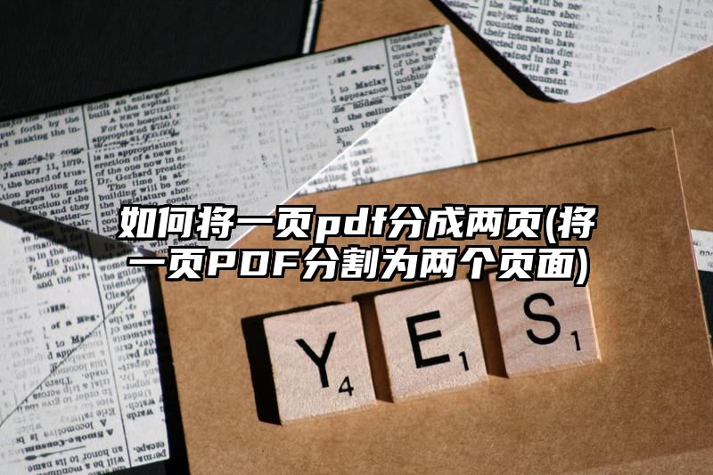 如何将一页pdf分成两页