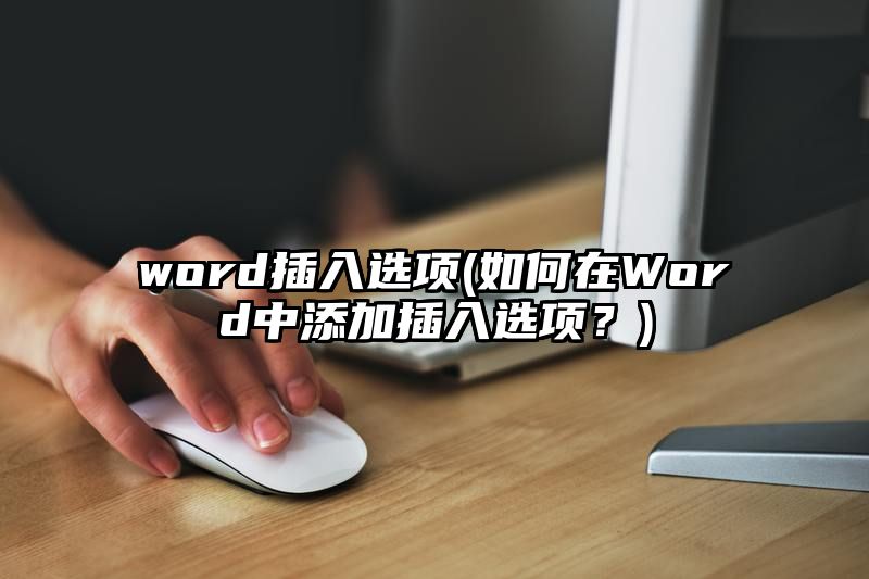 word插入选项