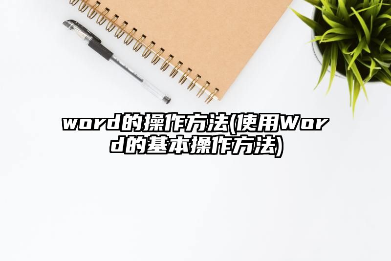 word的操作方法