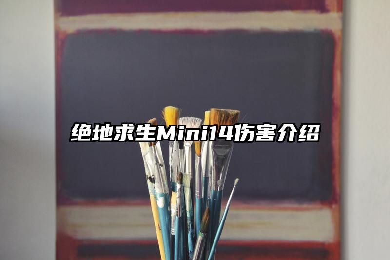 绝地求生Mini14伤害介绍