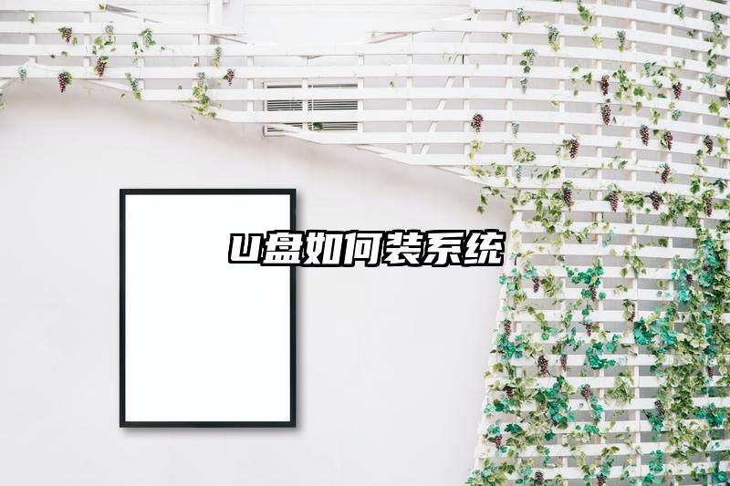 U盘如何装系统