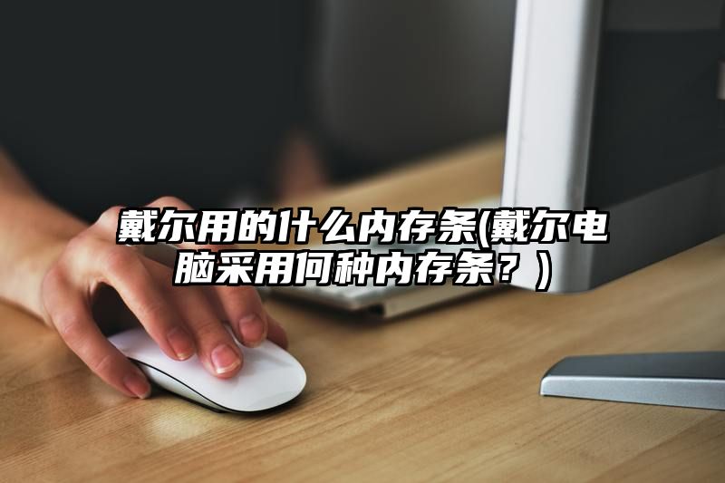 戴尔用的什么内存条