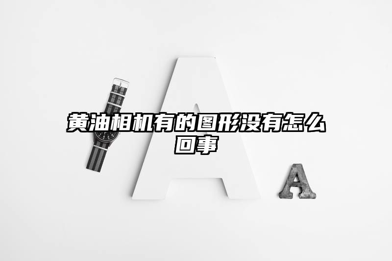 黄油相机有的图形没有怎么回事