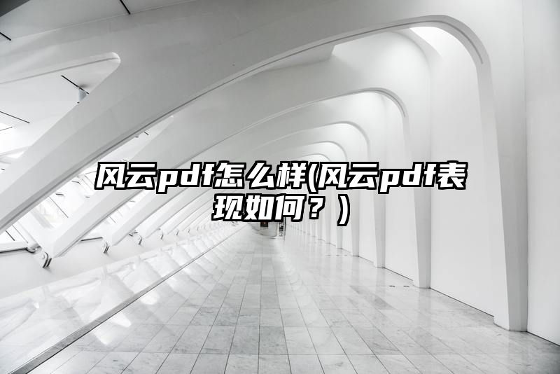 风云pdf怎么样