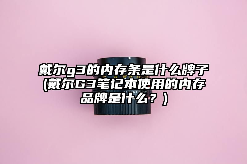 戴尔g3的内存条是什么牌子