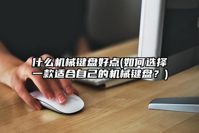 什么机械键盘好点