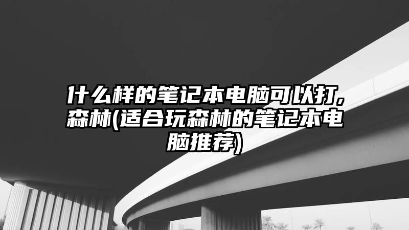 什么样的笔记本电脑可以打,森林