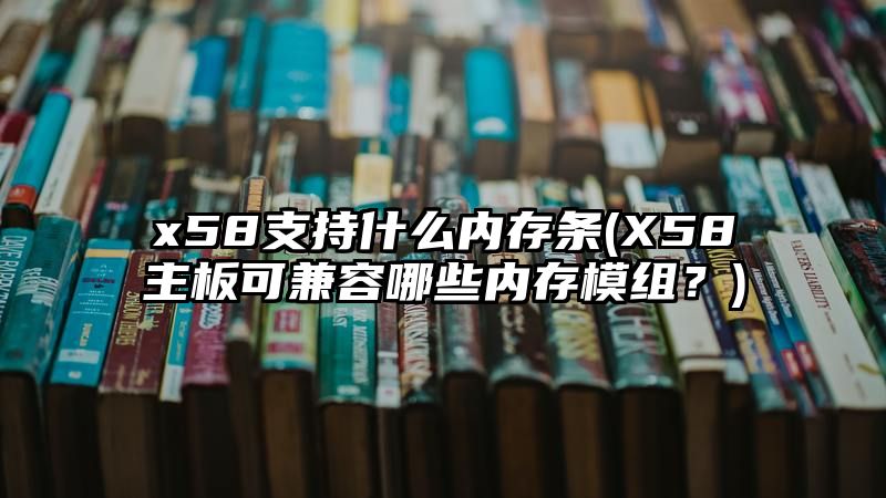 x58支持什么内存条