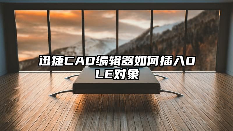 迅捷CAD编辑器如何插入OLE对象