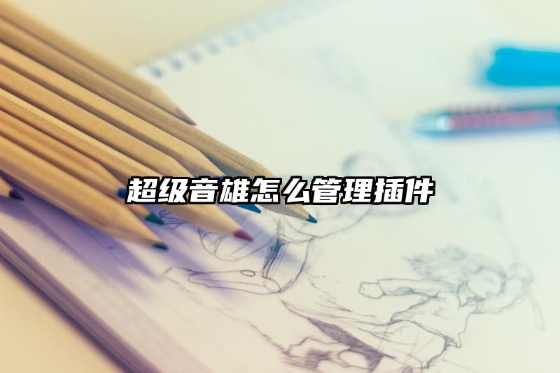 超级音雄怎么管理插件