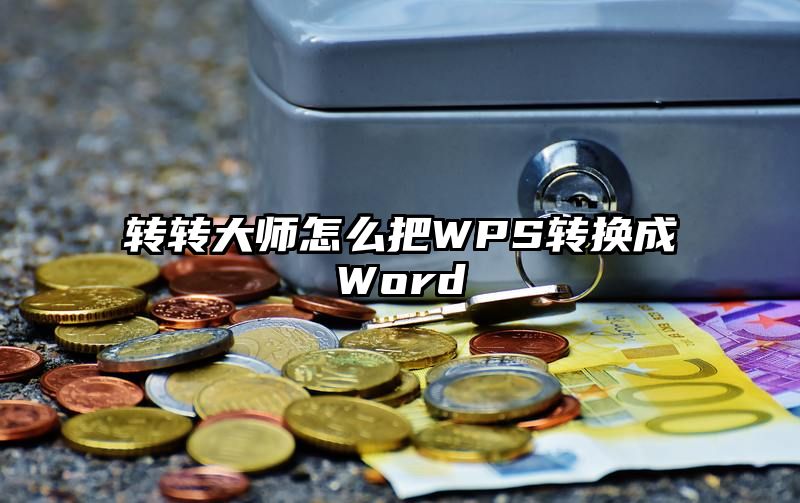 转转大师怎么把WPS转换成Word