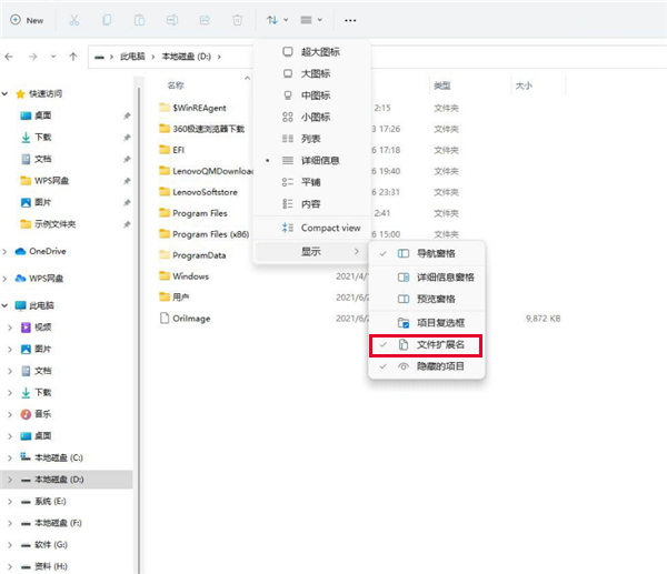 Win11文件扩展名显示方法